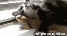 Puppet And Puff! (Cat Loves Bearded Dragon) GIF - Cat Bearded Dragon Hug GIFs