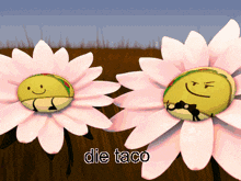 a cartoon drawing of a taco and a flower with the words die taco below them