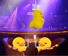 Mus8029 Duck Dance GIF - Mus8029 Duck Dance GIFs