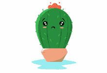sad sadness sad face sad cactus crying