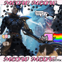 a picture of a man with a sword and a cat says meow