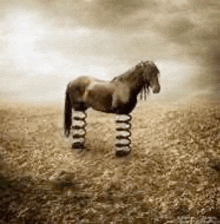 a horse is standing in a field with springs on its legs .