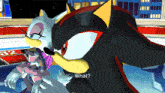 a shadow the hedgehog talking to a female sonic character
