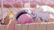 Anime Cat GIF - Anime Cat Wake Up GIFs