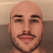a man with a beard and a bald head is smiling