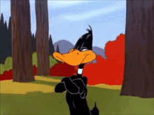 Daffy Duck Cartoon GIF - Daffy Duck Cartoon Hmm GIFs