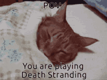 Sleepy Cat Death Stranding GIF - Sleepy Cat Death Stranding Death Stranding Cope GIFs