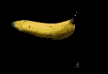 Banana Cut GIF