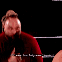 Bray Wyatt You Can Look But You Touch GIF - Bray Wyatt You Can Look But You Touch John Cena GIFs