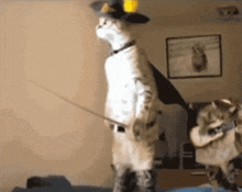 a cat wearing a hat and boots is holding a sword in a room
