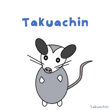 Takuachin Tlacuache GIF - Takuachin Tlacuache Takuache GIFs