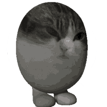 egg cat bounce 3d megakot