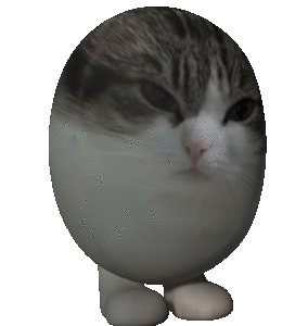 Egg Cat Bounce Sticker - Egg Cat Bounce 3d Stickers