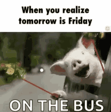 Excited Friday Tomorrow GIF