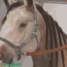 Amouranth Horse GIF - Amouranth Horse Stream GIFs