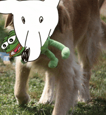 Pepe Pepe Dogggo GIF - Pepe Pepe Dogggo Dogggo GIFs