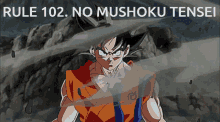 Rules Goku GIF - Rules Goku Mushoku GIFs