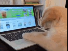 Busy Work GIF - Busy Work Laptop GIFs