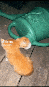Cats Spawning Cats Coming Out Of Teapot GIF