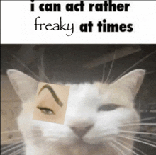 Freaky At Times GIF
