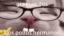 Greenie Pollos GIF - Greenie Pollos Hermanos GIFs