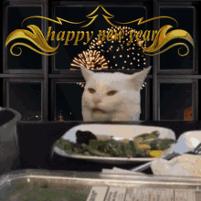 Smudge Cat Smudge The Cat GIF - Smudge Cat Smudge The Cat Fireworks GIFs