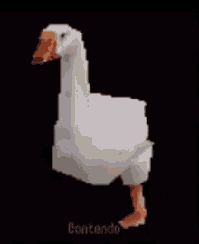 Sily Goose GIF - Sily Goose GIFs