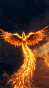 a phoenix with its wings outstretched is flying in the dark