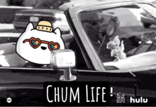Chum Chums GIF - Chum Chums Chumchums GIFs