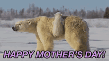Happy Mothers Day GIF - Polar Bear Mothers Day GIFs