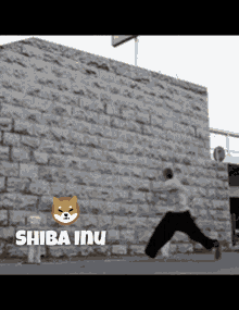 Shib Shiba GIF - Shib Shiba Shiba Inu GIFs