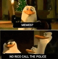 two penguins from spongebob squarepants are talking to each other and one says `` memes ? no rico call the police ''