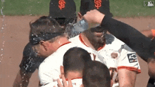 a group of baseball players with sf on their hats are being sprayed with water