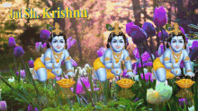 jaish krishna flower changing colors