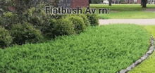 Flatbush GIF - Flatbush GIFs