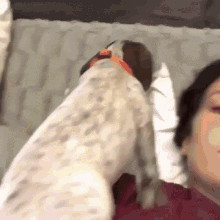 Puppy Love Time To Sleep GIF - Puppy Love Time To Sleep Cuddle Time GIFs