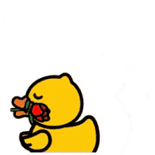 emoji duck