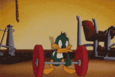 a cartoon of a duck lifting a barbell