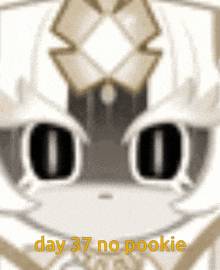 a picture of a cat with the words " day 37 no pookie " below it