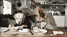Dogs Eating GIF - Dogs Eating Dinner GIFs