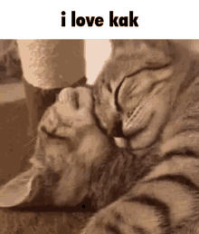 I Love Kak Kak GIF - I Love Kak Kak I Love GIFs