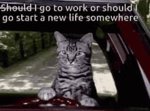 Should I Go To Work GIF - Should I Go To Work New Life GIFs