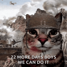 a cat wearing a military helmet with the words 22 more days boys we can do it below it