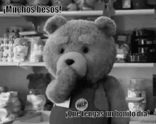 Ted Oso Peluche Besos Bonito Día GIF - Ted Oso Peluche GIFs