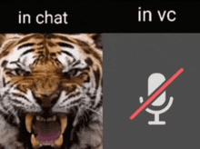 In Chat In Vc GIF - In Chat In Vc In Chat In Vc GIFs