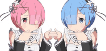 two anime girls with pink hair and blue eyes are making a peace sign