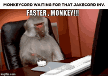 Monkeycord Jakecord GIF - Monkeycord Jakecord GIFs