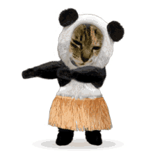 Panda Hawaiian Dance GIF - Panda Hawaiian Dance Cat Dance GIFs