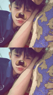 a boy wearing a dog mask is laying down on a bed