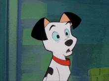 a dalmatian dog with a surprised look on its face